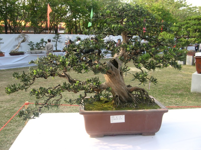 conew_img_7694.jpg