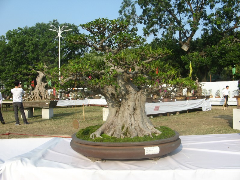 conew_img_7705.jpg