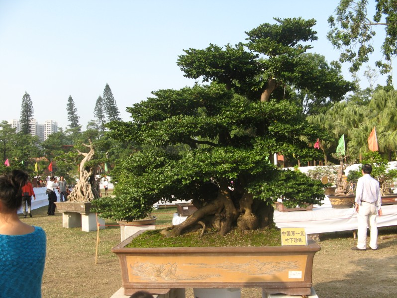 conew_img_7708.jpg