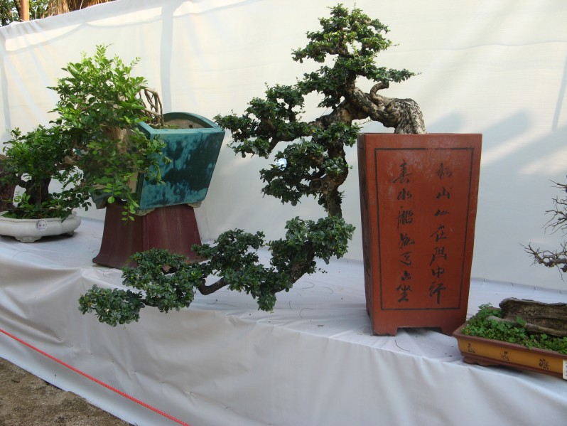 conew_img_7716.jpg