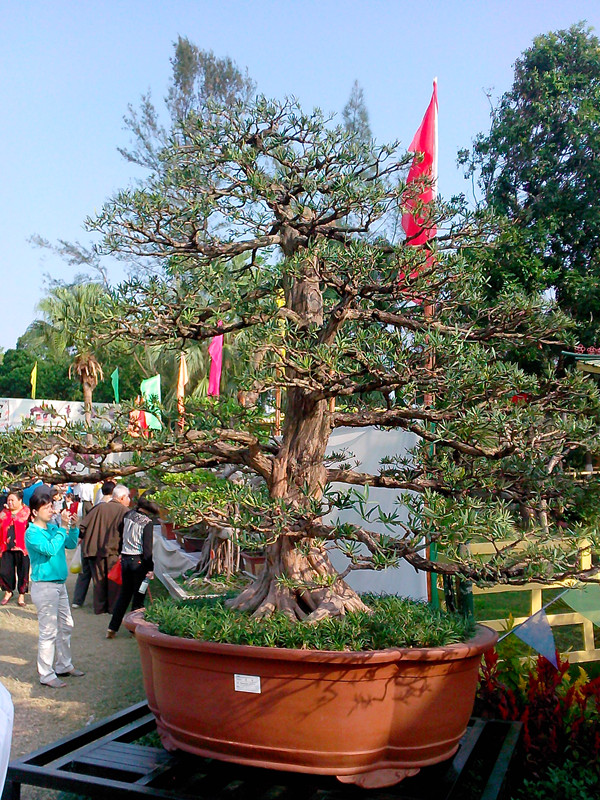 IMG20131108003_.jpg