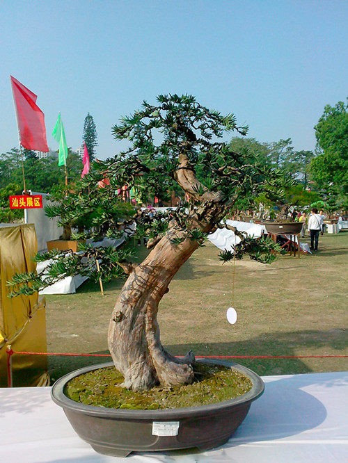 IMG20131108004_.jpg