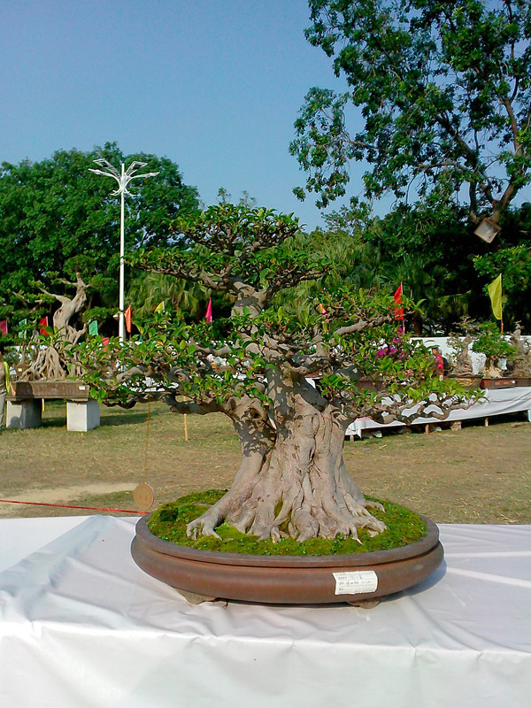 IMG20131108007_.jpg