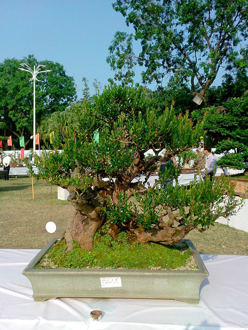 IMG20131108010_.jpg