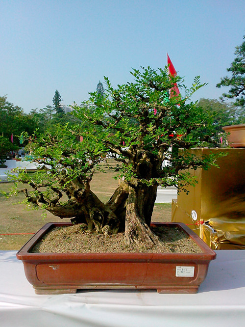 IMG20131108011_.jpg