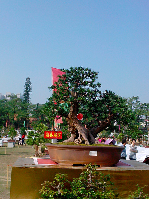 IMG20131108012_.jpg