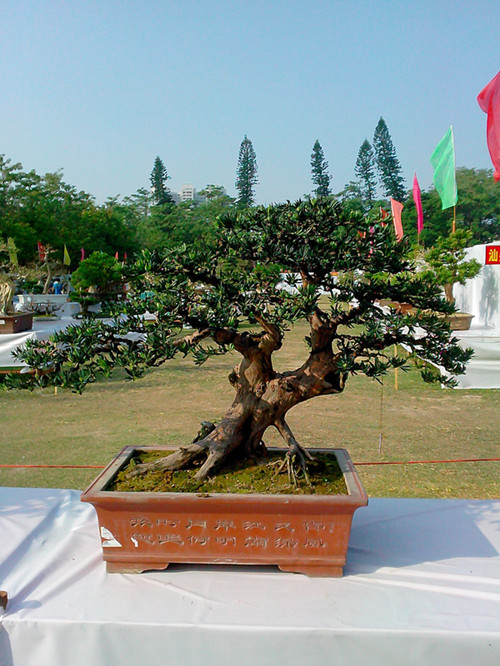 IMG20131108013_.jpg