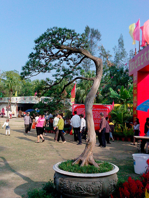 IMG20131108020_.jpg