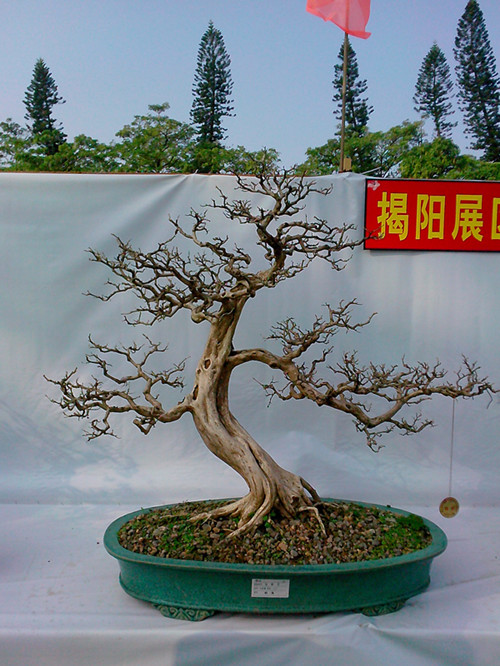 IMG20131108041_.jpg