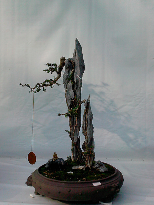 IMG20131108042_.jpg