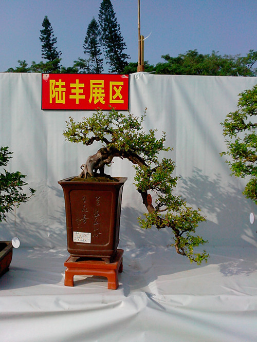 IMG20131108048_.jpg