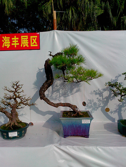 IMG20131108058_.jpg