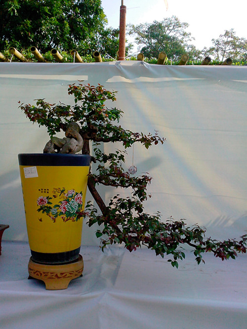 IMG20131108065_.jpg