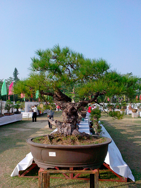 IMG20131108082_.jpg