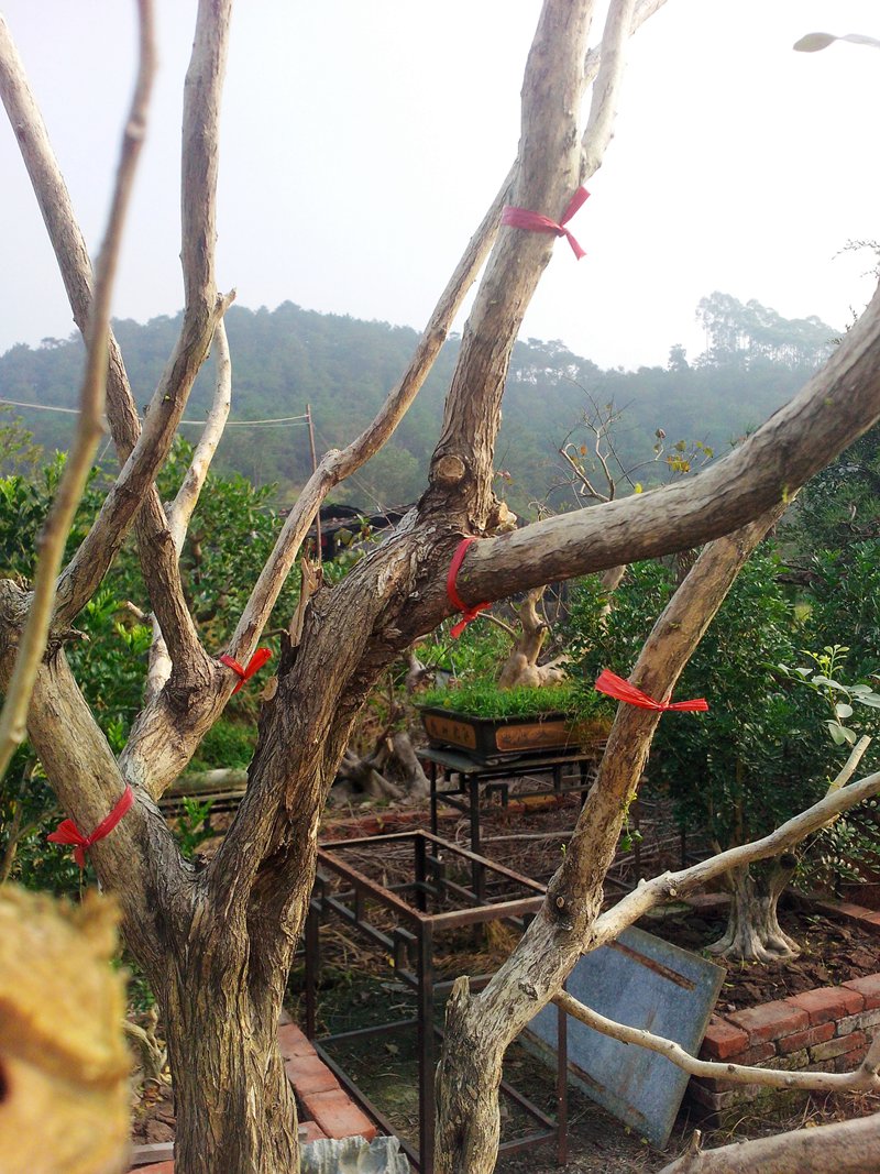 IMG20131109006.jpg