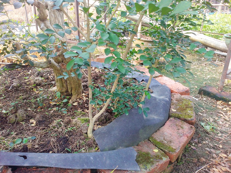 IMG20131109010.jpg