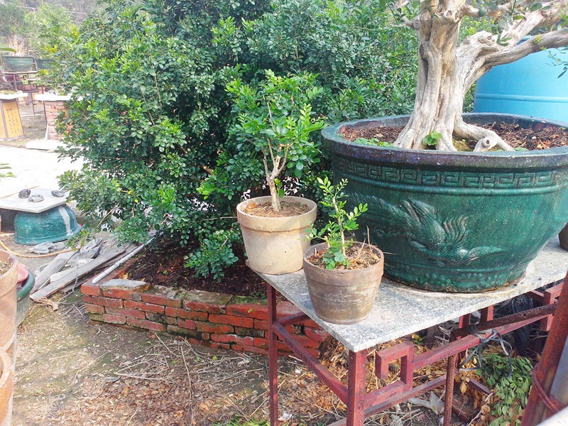 IMG20131109015.jpg