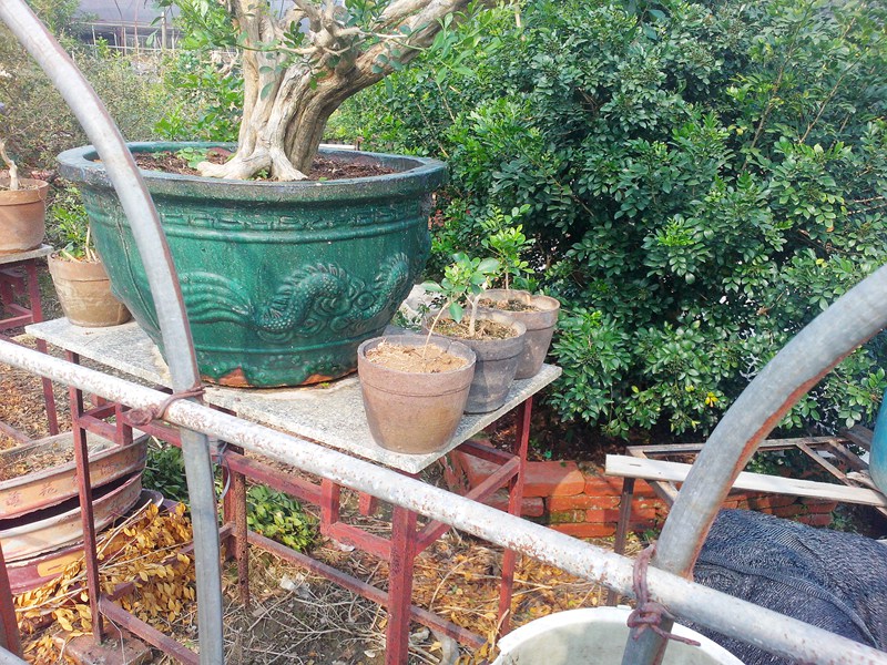IMG20131109016.jpg