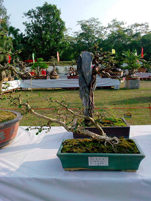 IMG20131108122_.jpg