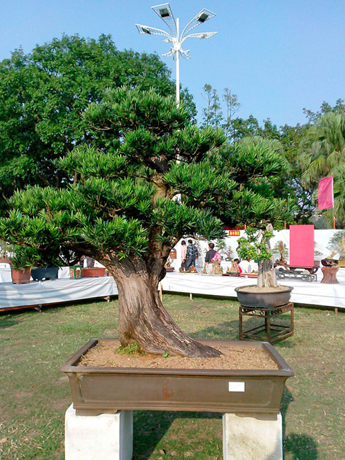 IMG20131108123_.jpg