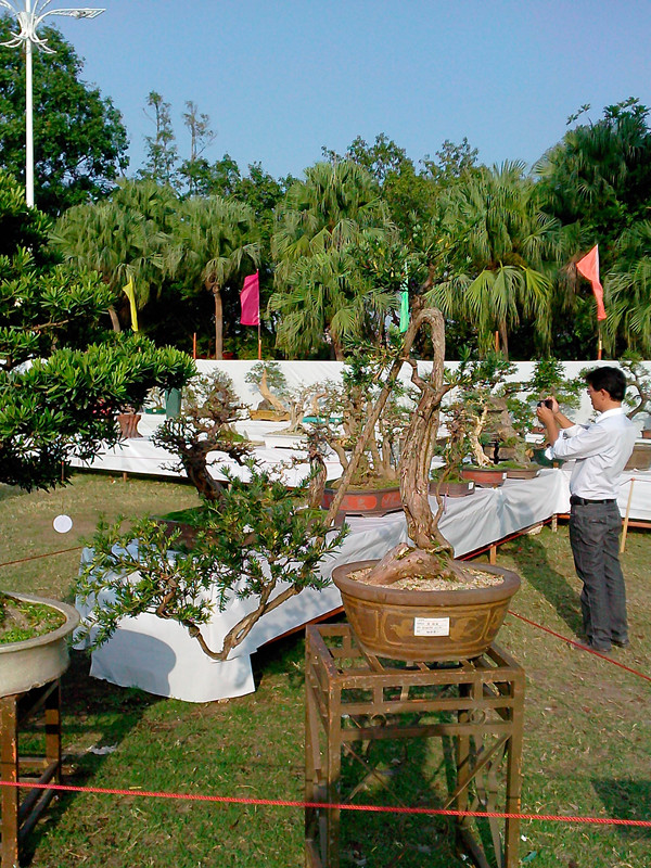IMG20131108125_.jpg