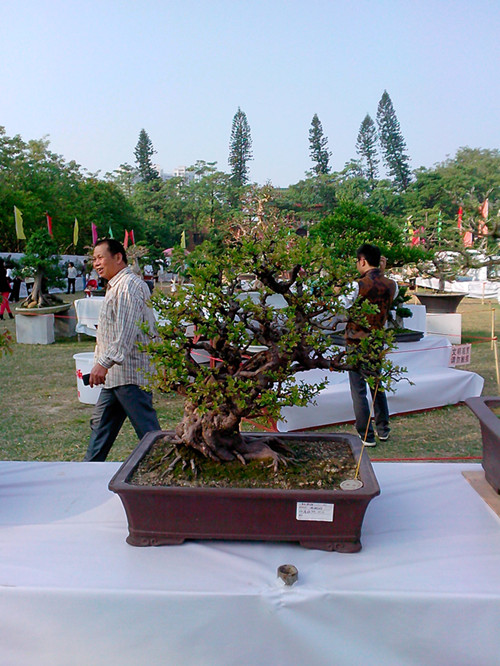 IMG20131108128_.jpg