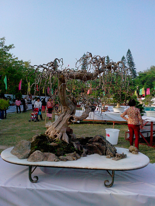 IMG20131108130_.jpg