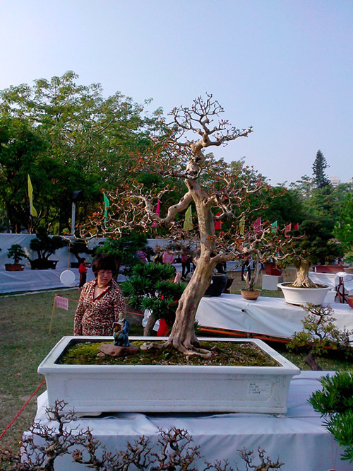 IMG20131108132_.jpg
