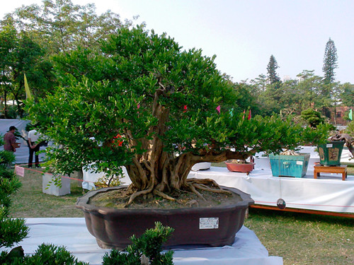 IMG20131108133_.jpg