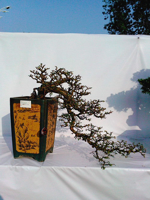 IMG20131108151_.jpg