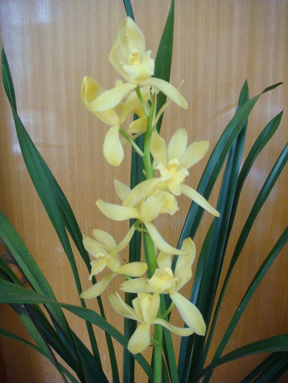 DSC06036.JPG