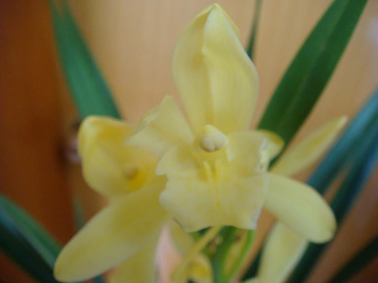 DSC06038.JPG