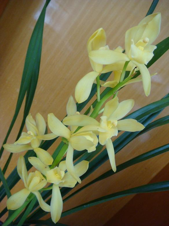 DSC06044.JPG