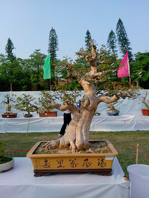 IMG20131108177_.jpg