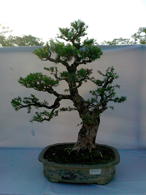 IMG20131108207_.jpg