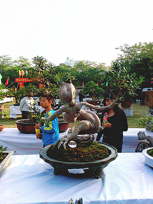 IMG20131108183_.jpg