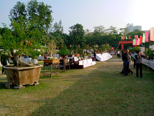 IMG20131108194_.jpg