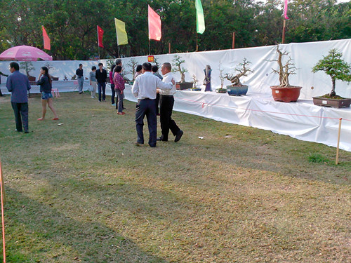 IMG20131108195_.jpg