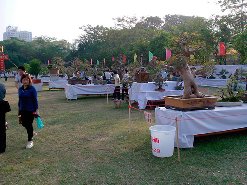 IMG20131108196_.jpg