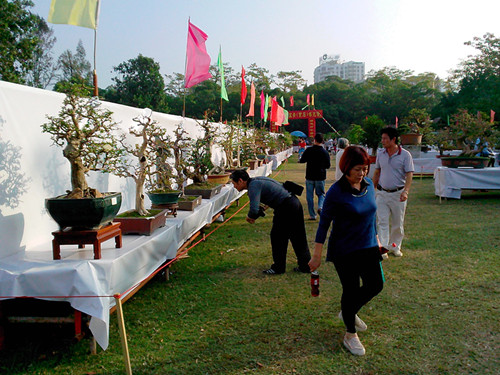 IMG20131108197_.jpg