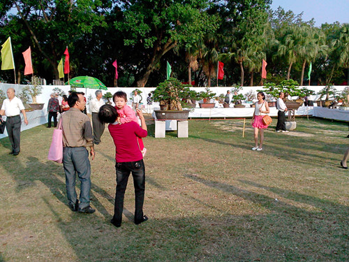 IMG20131108198_.jpg
