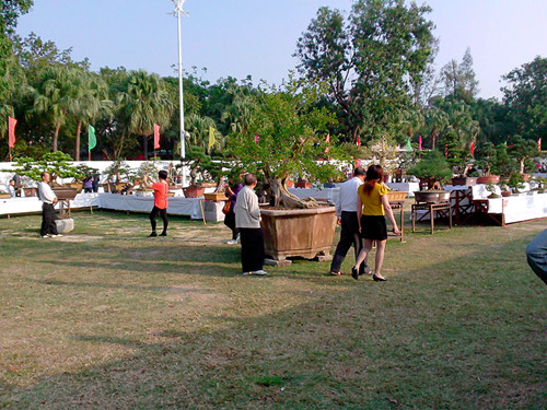 IMG20131108199_.jpg