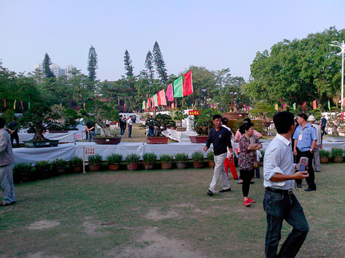 IMG20131108220_.jpg