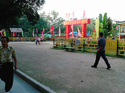 IMG20131108223_.jpg