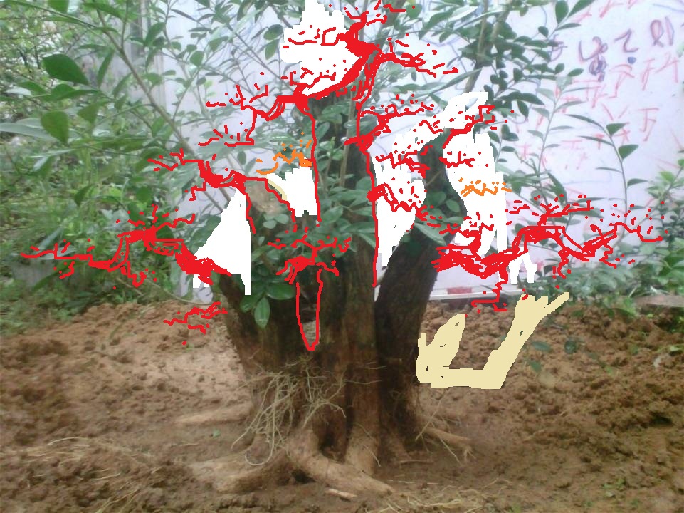 233053mcjhm5tmyyst6ohy_jpg_thumb - .jpg