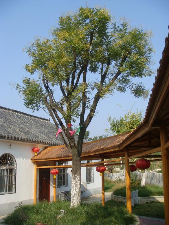 DSC05980.JPG