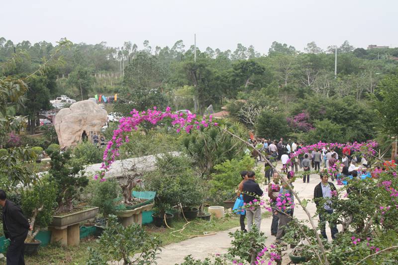 Ƭ20131026ۺ 315.jpg