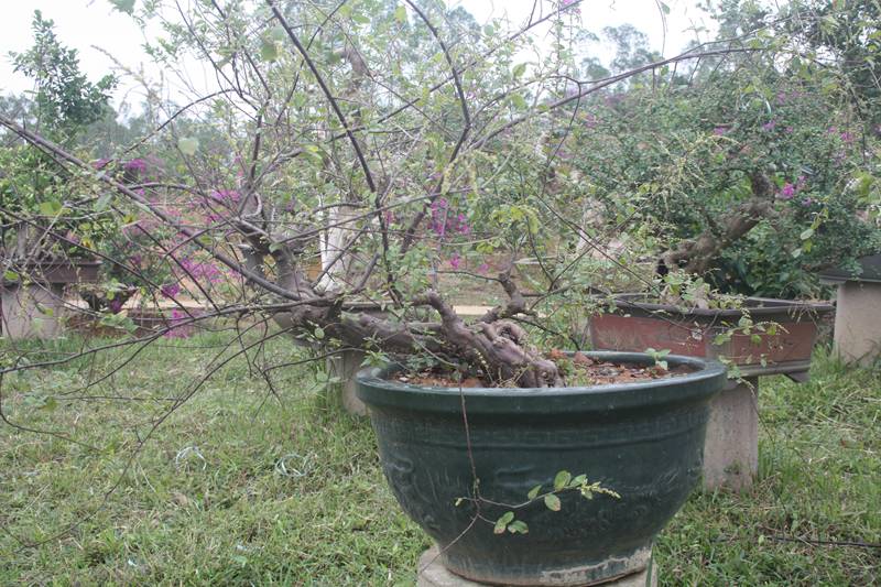 Ƭ20131026ۺ 311.jpg
