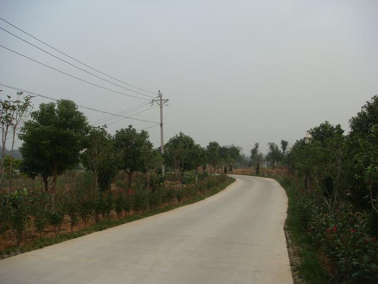 DSC06007.JPG