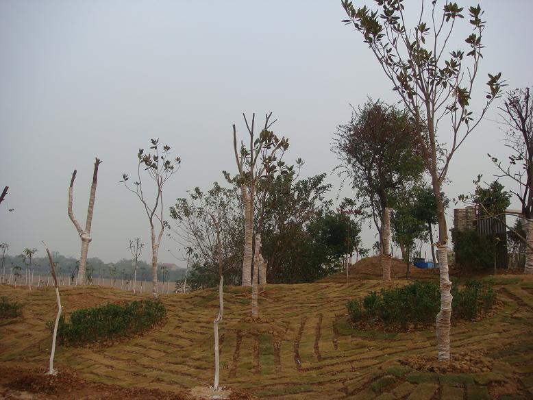 DSC06015.JPG